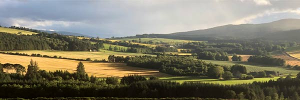 Autumn in Speyside, Scotland