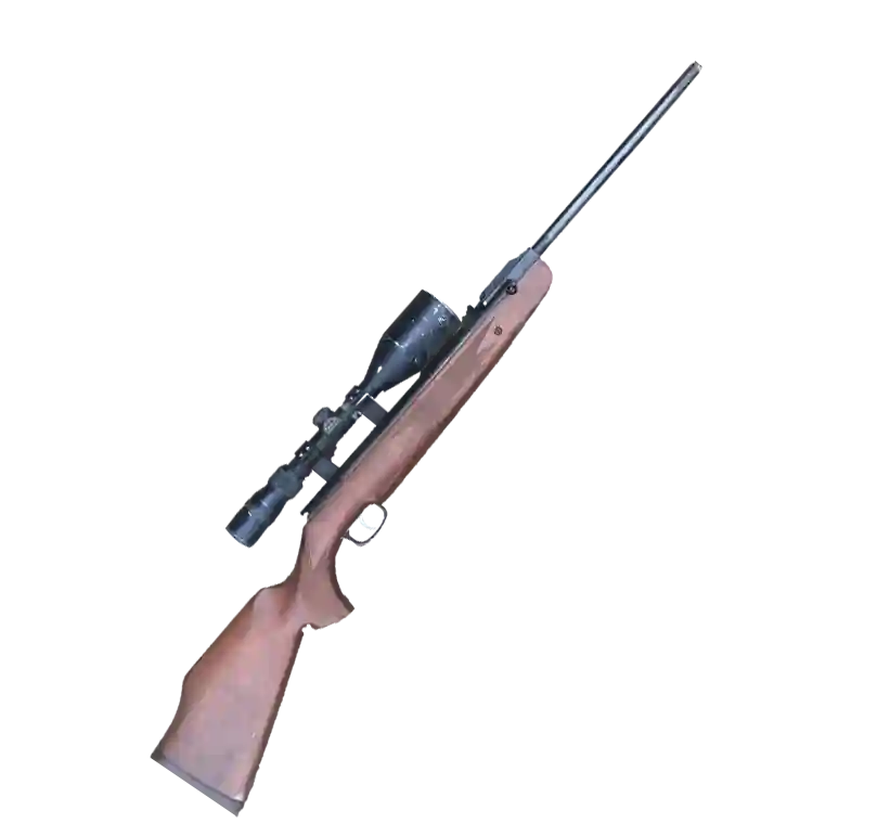 Air Rifle Shooting
